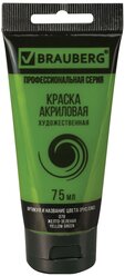 BRAUBERG Краска акриловая художественная Classic (профессиональная серия), 75 мл желто-зеленая