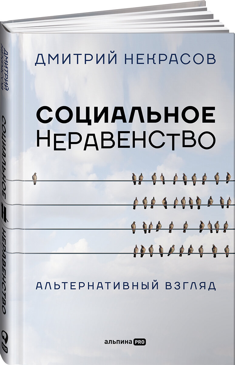 Социальное неравенство Альтернативный взгляд - фото №2