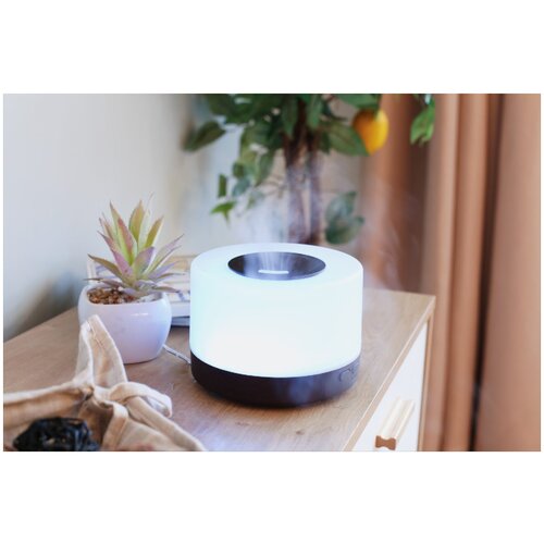 Аромадиффузор SENS Helix венге 461200₽