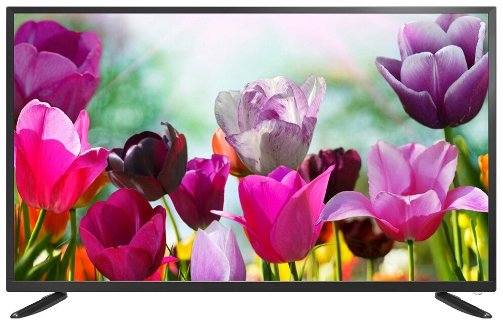 LCD(ЖК) телевизор Erisson 55ULES85T2 Smart