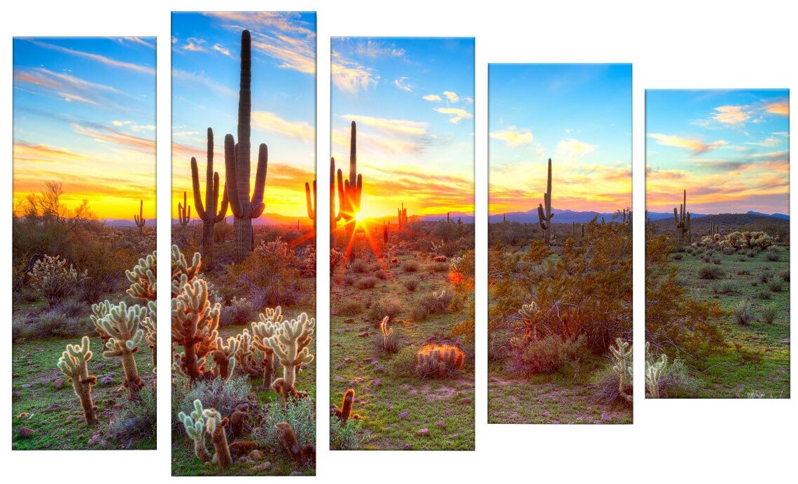 Картина модульная Картиномания "Закат солнца в пустыне Сонора" размер 140х90 см