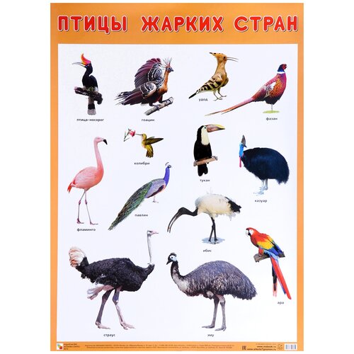 Плакат Мозаика-Синтез Птицы жарких стран плакат мозаика синтез domestic birds домашние птицы