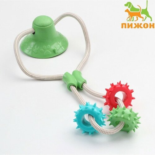 Пижон Игрушка для собак "Кольца с шипами на присоске", 40 см, зелёная/голубая/красная