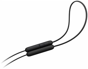 Sony wi 310 online