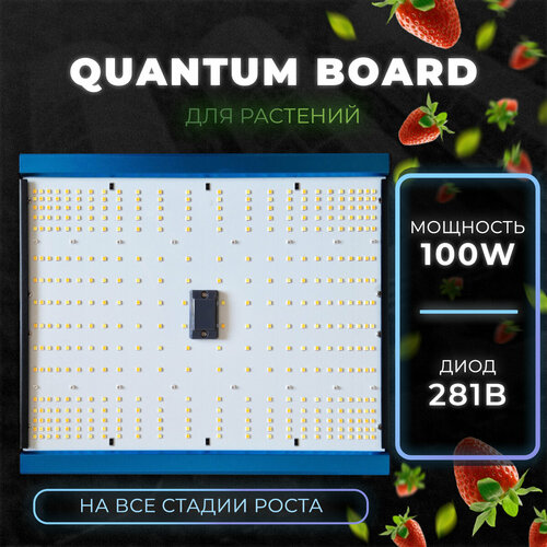 Светильник для растений quantum board 100w, Светодиодная лампа полный спектр 281b Квантум борд голубой, белый, синий