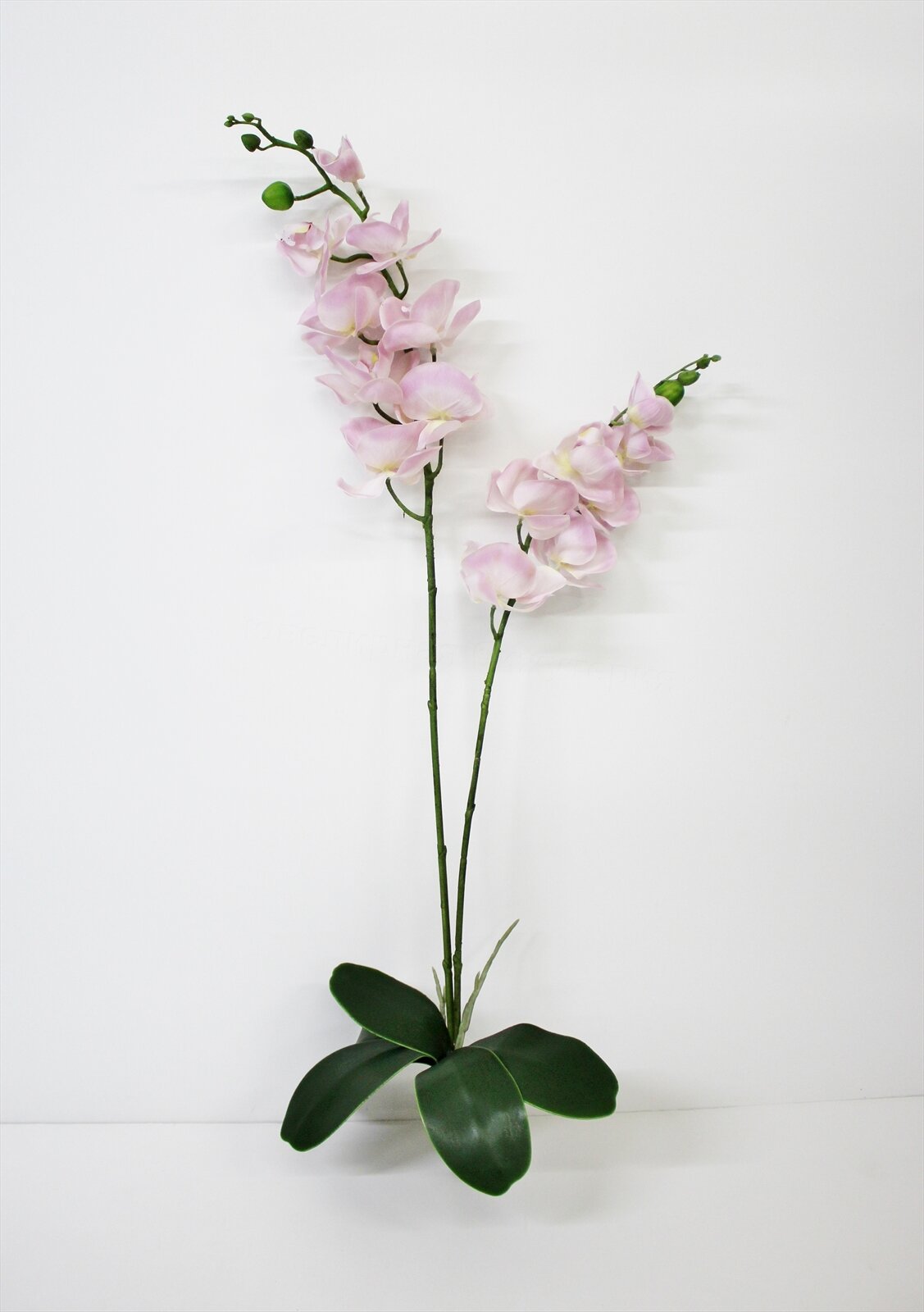 Орхидея фаленопсис с листьями, 90 см.
