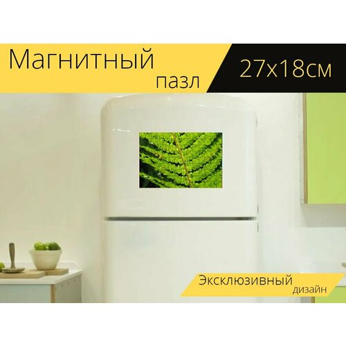 Магнитный пазл Папоротник, макрос, зеленый на холодильник 27 x 18 см.