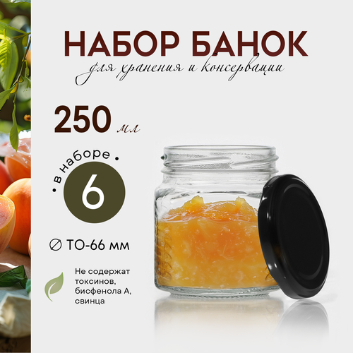 Набор банок с крышкой ТО-66 мм стекло 025 л 6 шт 502₽