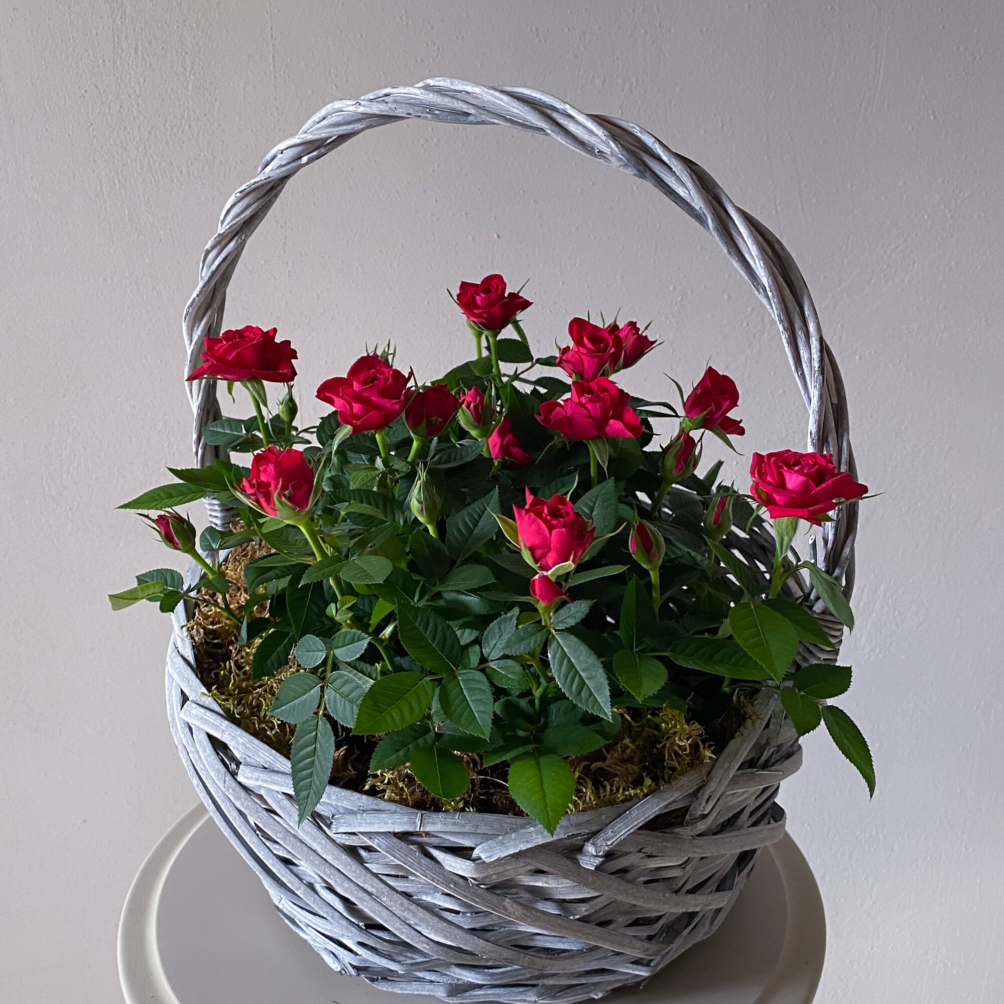 Корзина с цветущими горшечными розами в авторском оформлении размер S. Veresk 614
