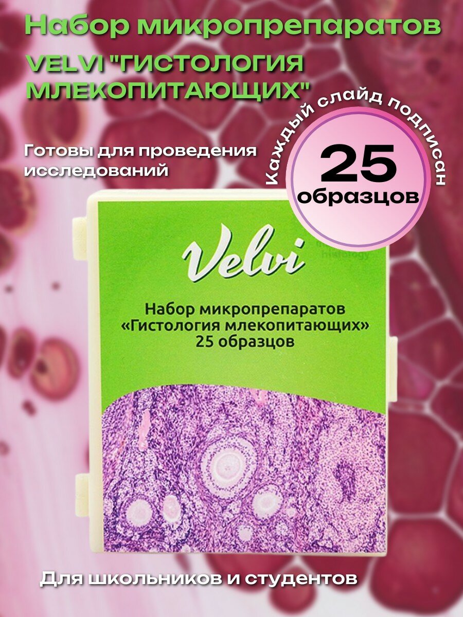 Микропрепараты для микроскопа Velvi "Гистология млекопитающих" 25 образцов