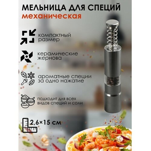Мельница для специй Пружина 1525 см металлический механизм цвет серебряный 1047₽