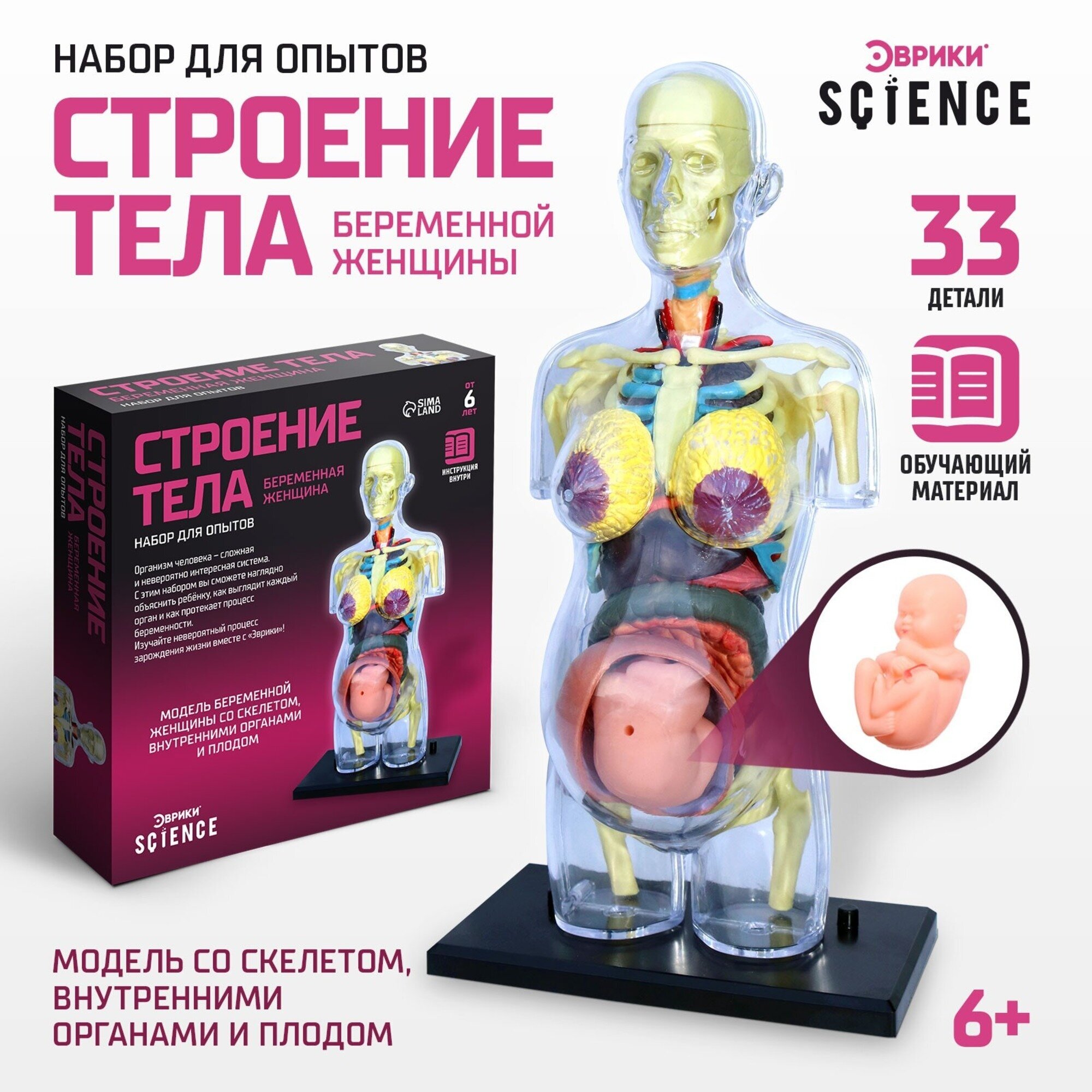 Набор для опытов Эврики «Строение тела», Анатомия для детей, беременная женщина