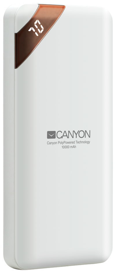 Аккумулятор внешний Power Bank Canyon CNE-CPBP10W (PB-102)