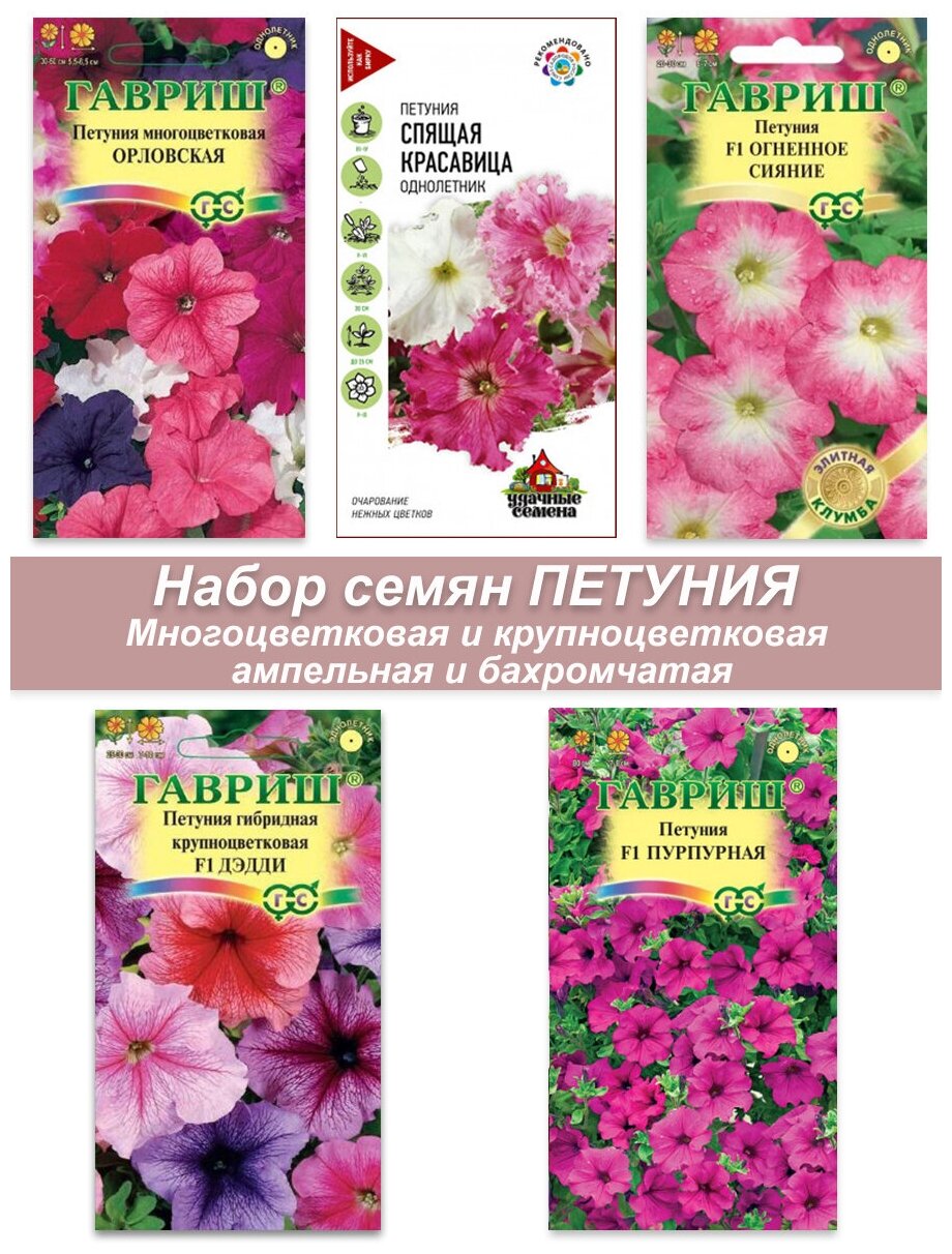 Набор семян, семена Однолетних цветов Петуния крупноцветковая, ампельная, многоцветковая