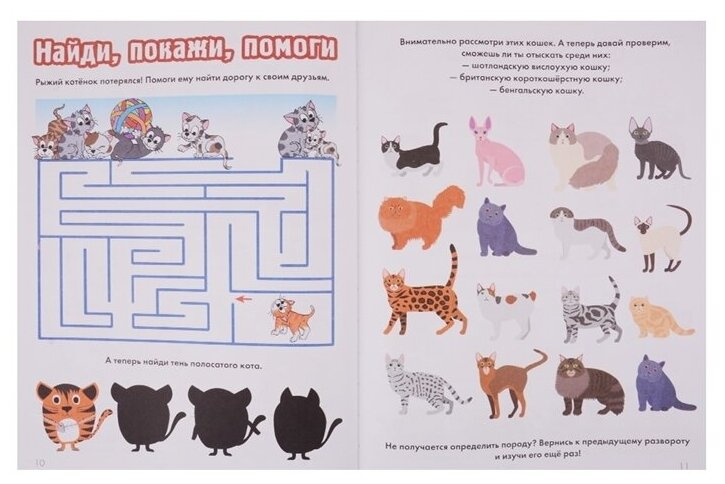 Кошки и собаки (Дорошенко Юлия Игоревна) - фото №8