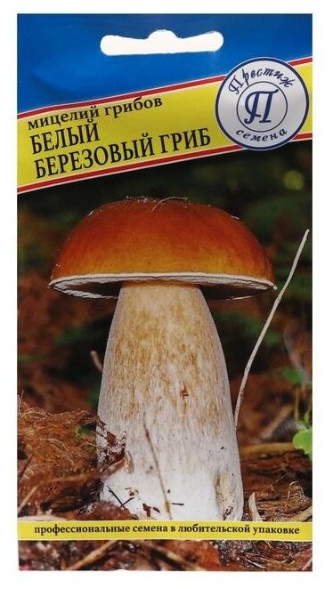 Мицелий грибов Белый гриб березовый  60 мл