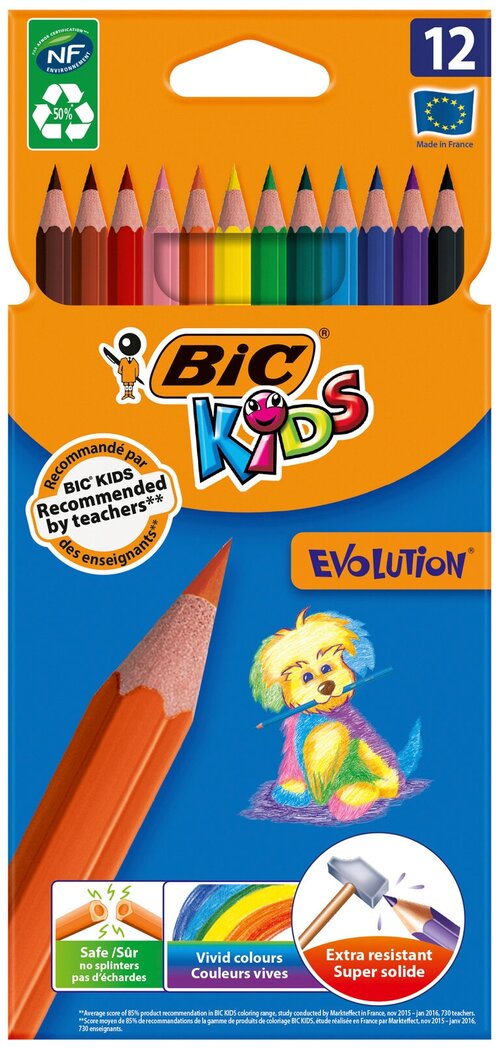 BIC Цветные карандаши Evolution 12 цветов (82902910) разноцветный