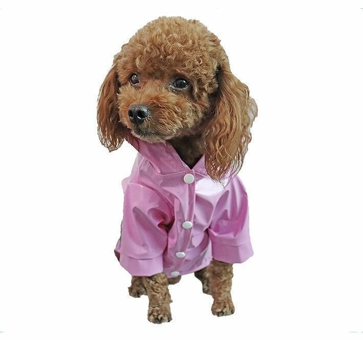 Плащ-дождевик с капюшоном для собак мелких и средних пород, размер М - фотография № 1
