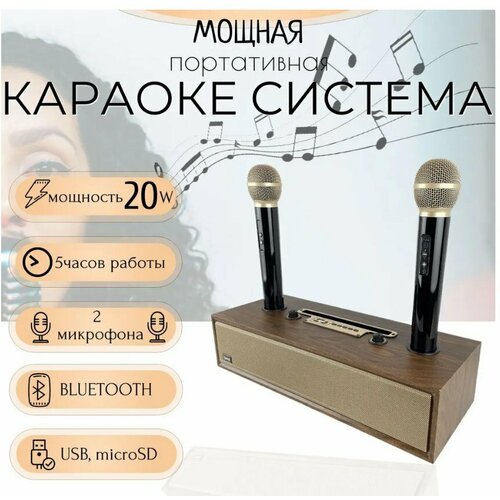 Портативная беспроводная караоке система 20 w с двумя микрофонами 600000₽