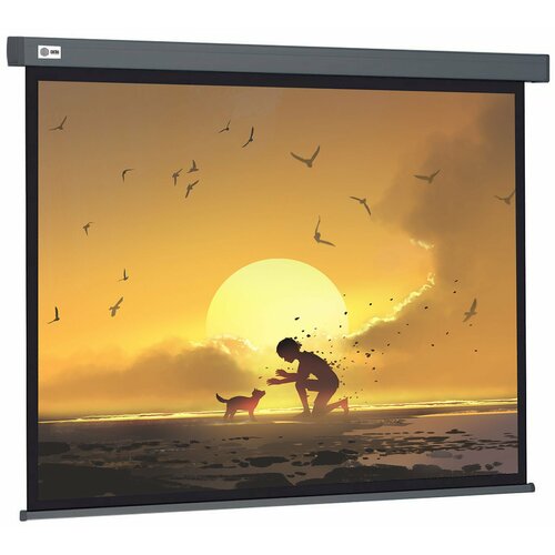 Экран Cactus Wallscreen CS-PSW-124X221-SG (белый)