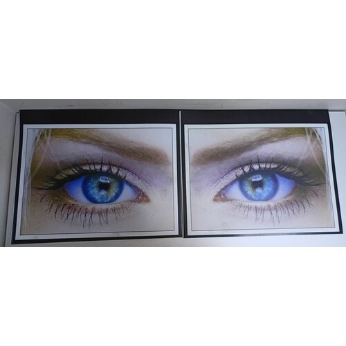 Комплект брызговиков ГАЗ-3302 задн.400ммx320мм / резина / Глаза / комплект 2шт // ростов