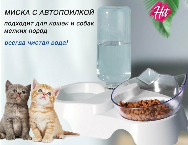 Двойная миска поилка для животных на подставке для воды и корма / Пластиковая миска с чашей под наклоном для кошек и собак/ Автопоилка белая - фотография № 1
