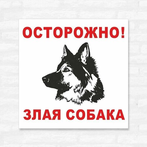Табличка "Осторожно, злая собака", 25х25 см, ПВХ