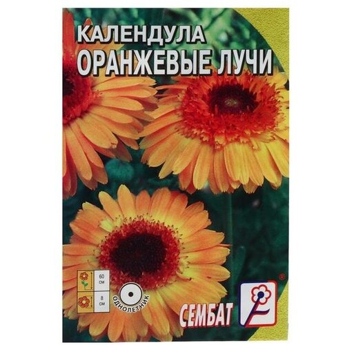 Семена цветов Календула Оранжевые и, 03 г 6 шт