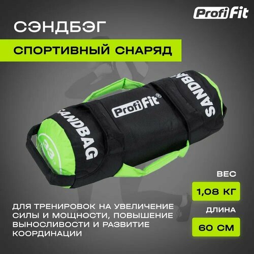 Сумка для Функционального тренинга Sand Bag, от 10КГ (15 кг), Profi-Fit sand bag profi fit 15кг