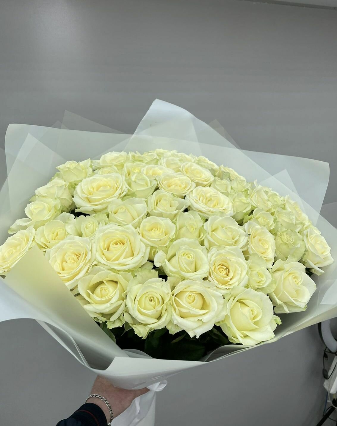 Цветы живые букет из 51 белой розы 70 см с атласной лентой