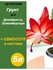 Грунт для Декабриста, Шлюмбергера, Рипсалидопсиса 5л готовый