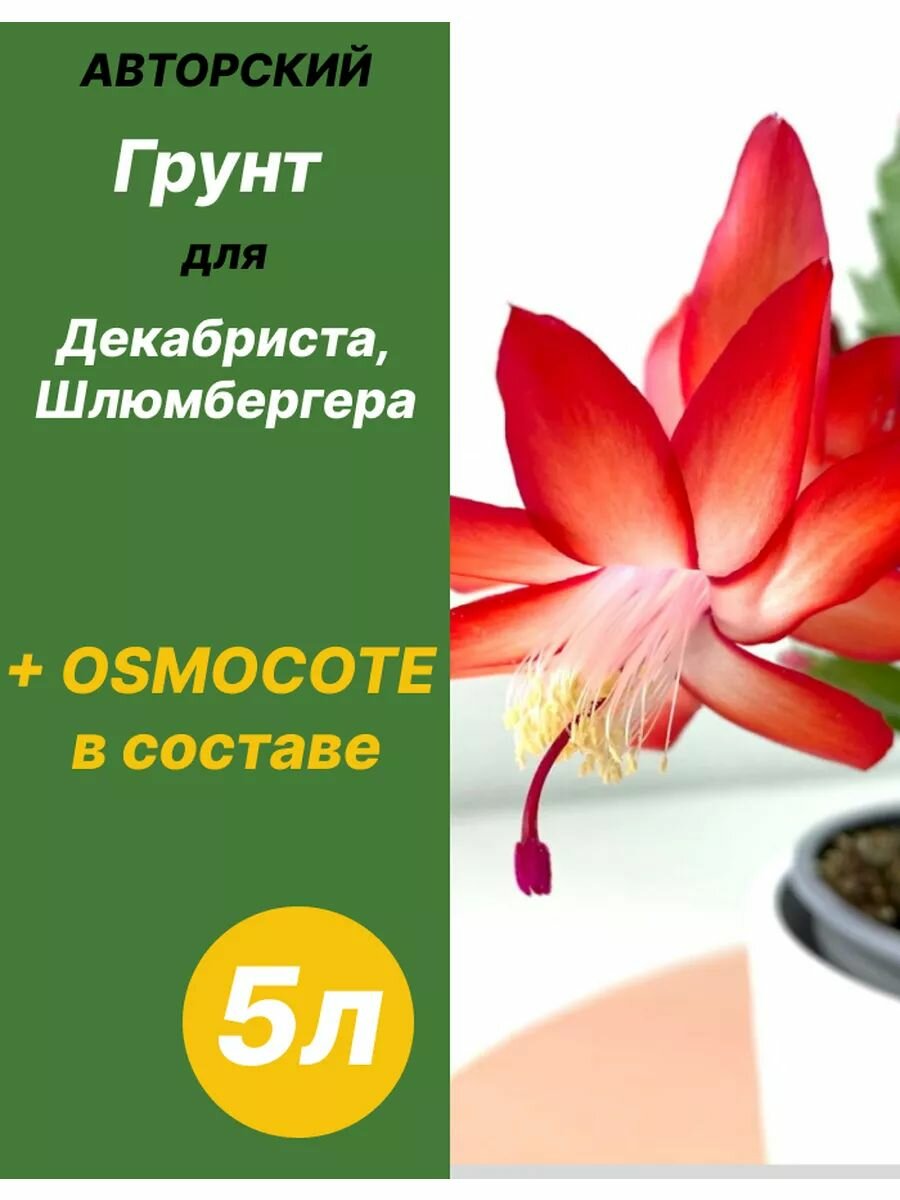 Грунт для Декабриста, Шлюмбергера, Рипсалидопсиса 5л готовый