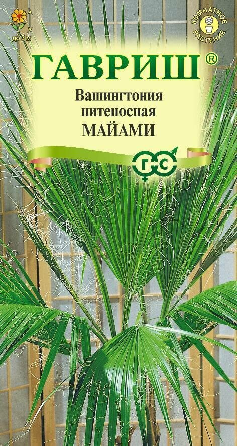 Семена Пальма Вашингтония Майами нитеносная 3шт Комн (Гавриш)
