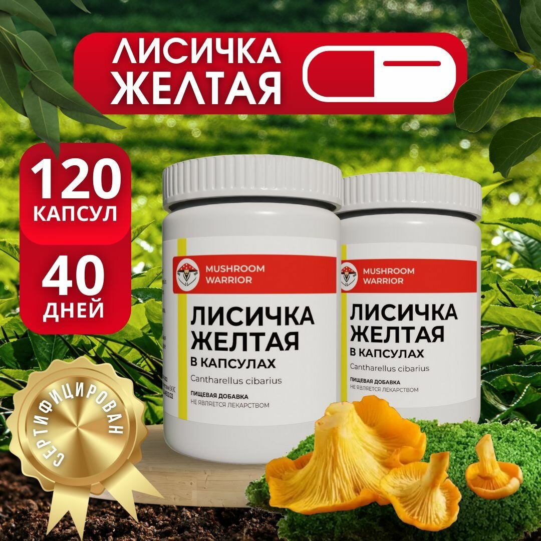 Лисичка жёлтая, 2 х 60 капсул, антипаразитарный комплекс, Mushroom Warrior, комплексная пищевая добавка