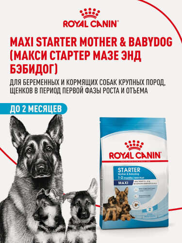 Изображение товара Сухой корм для щенков, беременных и кормящих собак Royal Canin Maxi Starter Mother&Babydog для крупных пород, 15 кг