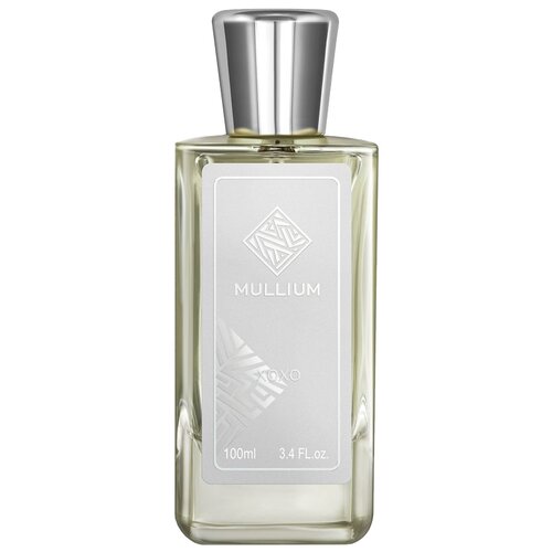 Парфюмерная вода MULLIUM xoxo, 100 мл (fleur narcotique)