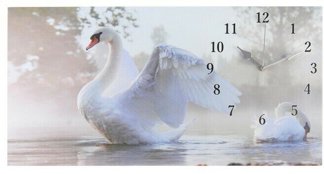 Часы настенные, серия-Животный мир, на xолсте "Белый лебедь", 40x76 см,