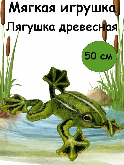 Мягкая игрушка Древесная лягушка, 50 см