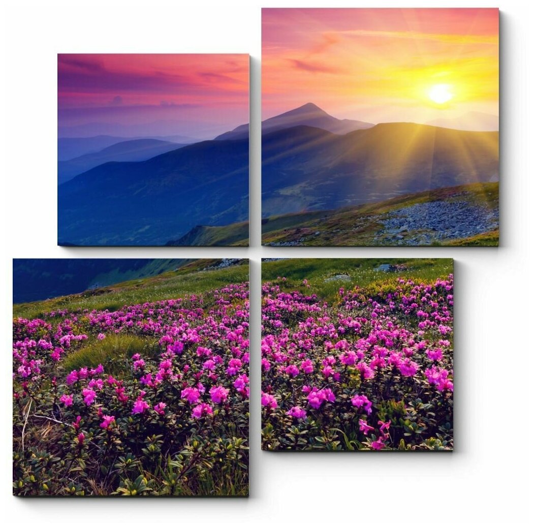 Модульная картина Розовые рододендроны в горах 50x50