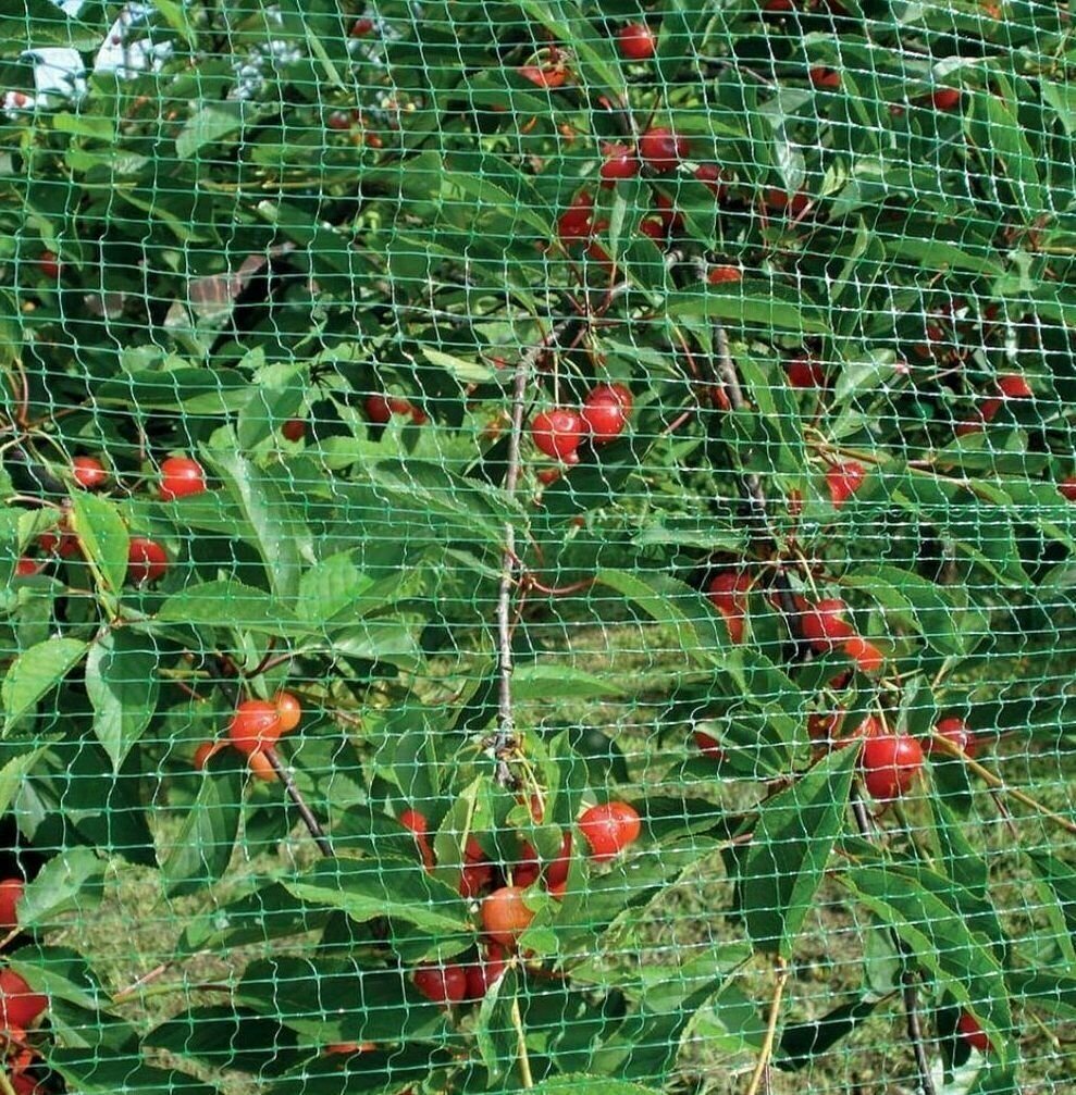 Защитная садовая сетка-рукав от птиц 3м на 4 м - фотография № 4