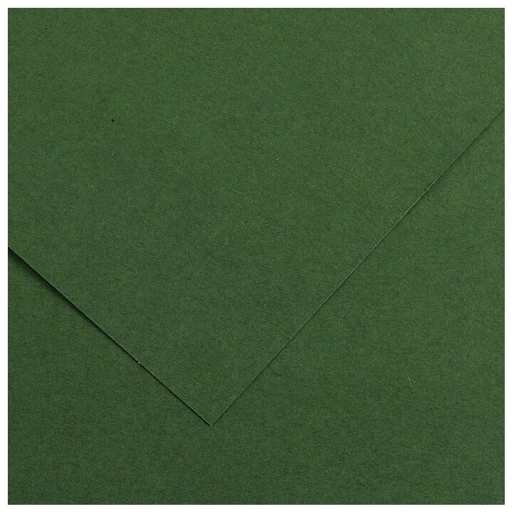 Бумага цветная 50*65 25 листов "Iris Vivaldi" 120гр/м2 Зеленый Еловый, Кансон Canson