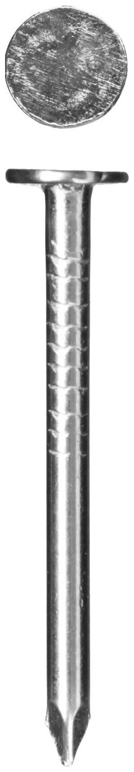 ЗУБР ГОСТ 4029-63 25 х 2.0 мм, толевые гвозди оцинкованные, 5 кг (305210-20-025)