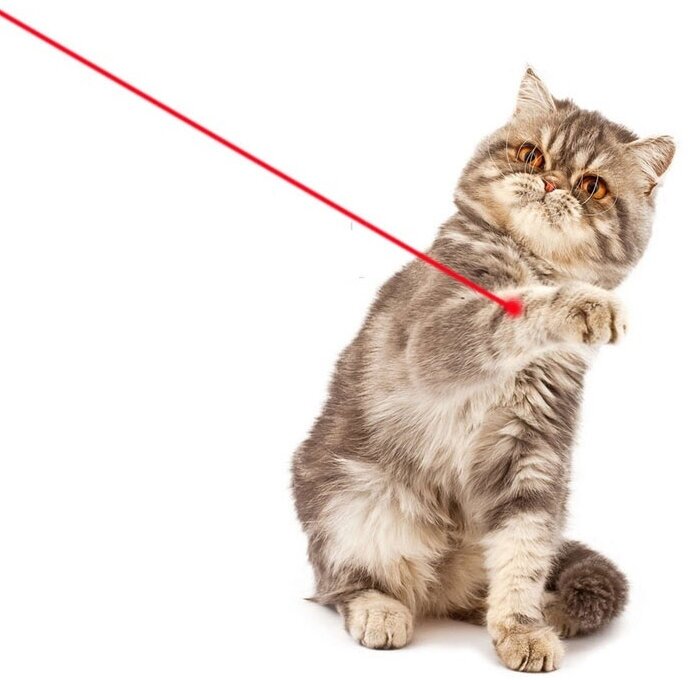 Игрушка для кошек со светящимся LED-лучом Laser Toy, бирюзовый - фотография № 2