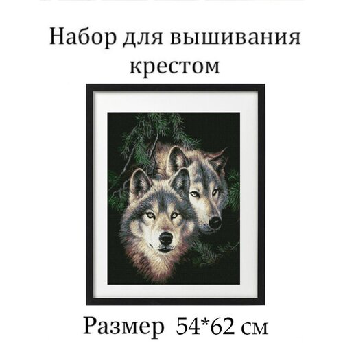 Набор для вышивания 