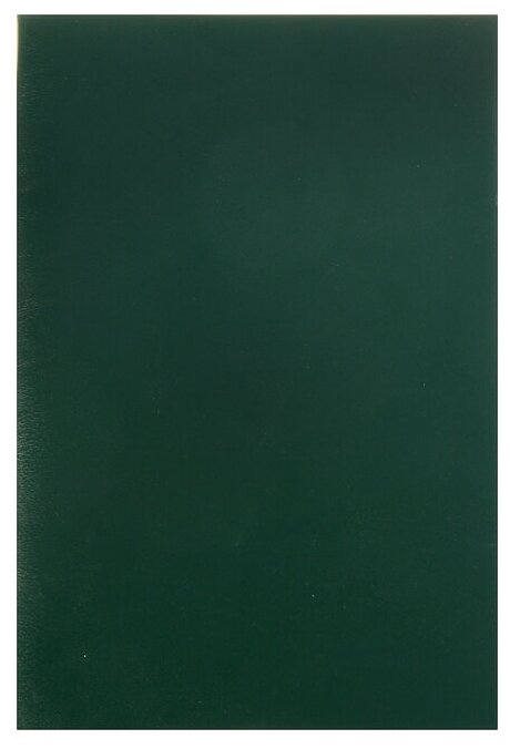 Тетрадь общая "Бумвинил. Зеленый" (96 листов, А4, клетка) (96Т4бвC3) Хатбер - фото №1