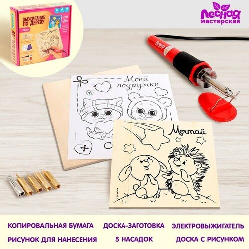 Набор для выжигания и росписи по дереву Подружке 1017₽