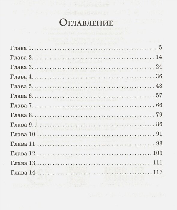 Герой-одиночка (Макдэнжерьюз Т.Т., Казакова Мария (переводчик)) - фото №3