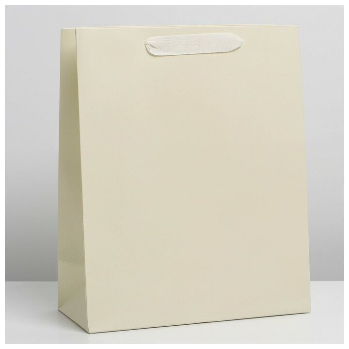 Дарите Счастье Пакет подарочный ламинированный, упаковка, «Молочный», M 26 х 30 х 9 см