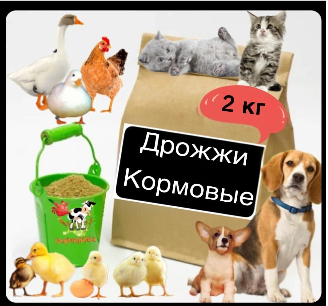 Дрожжи кормовые для животных 2 кг - фотография № 1