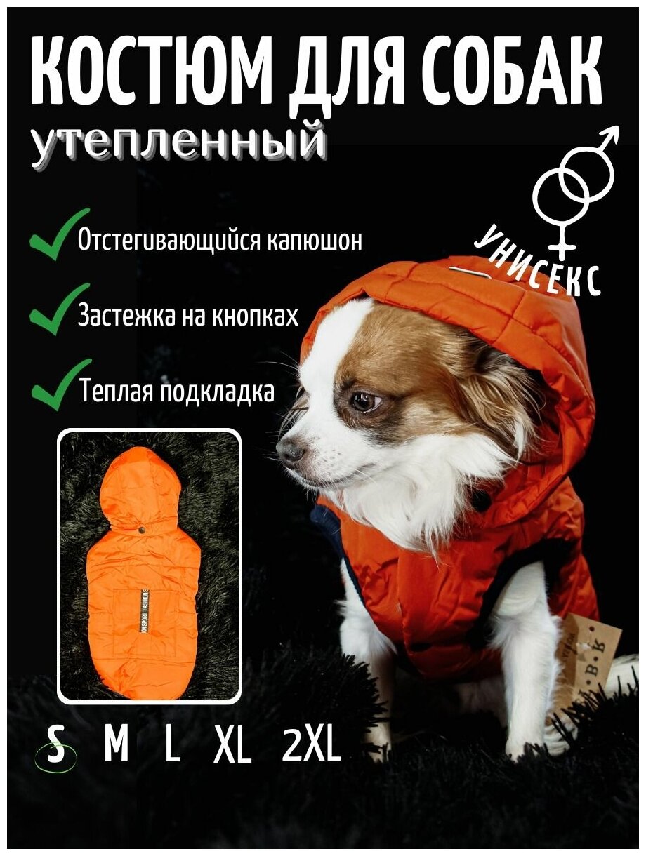 Зимняя куртка с капюшоном для собак и кошек - фотография № 1